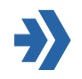 CoPilot Professional logo